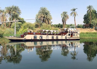 Nile Lily on the river with palm trees